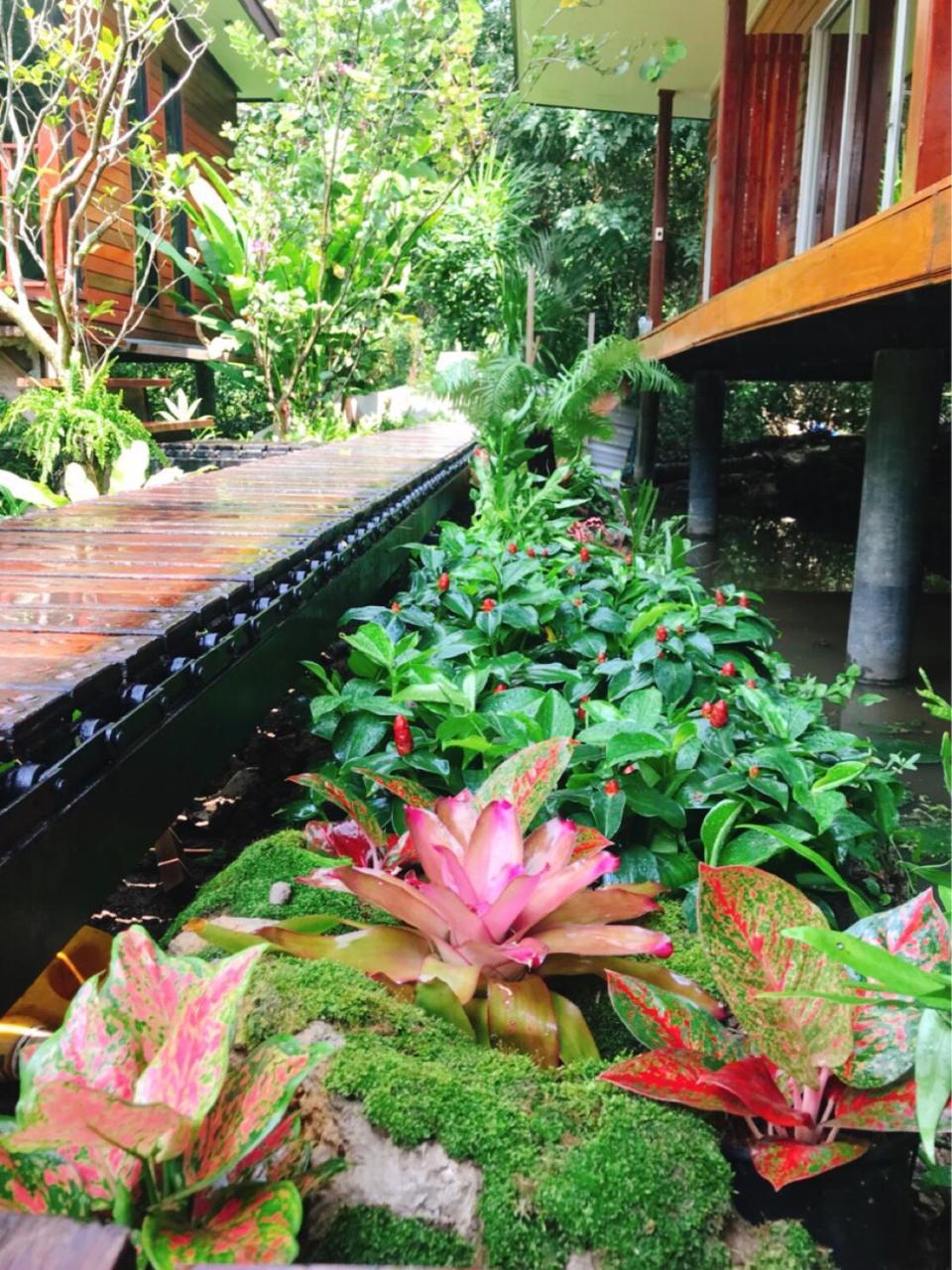 88 Homestay Bang Chak Luaran gambar