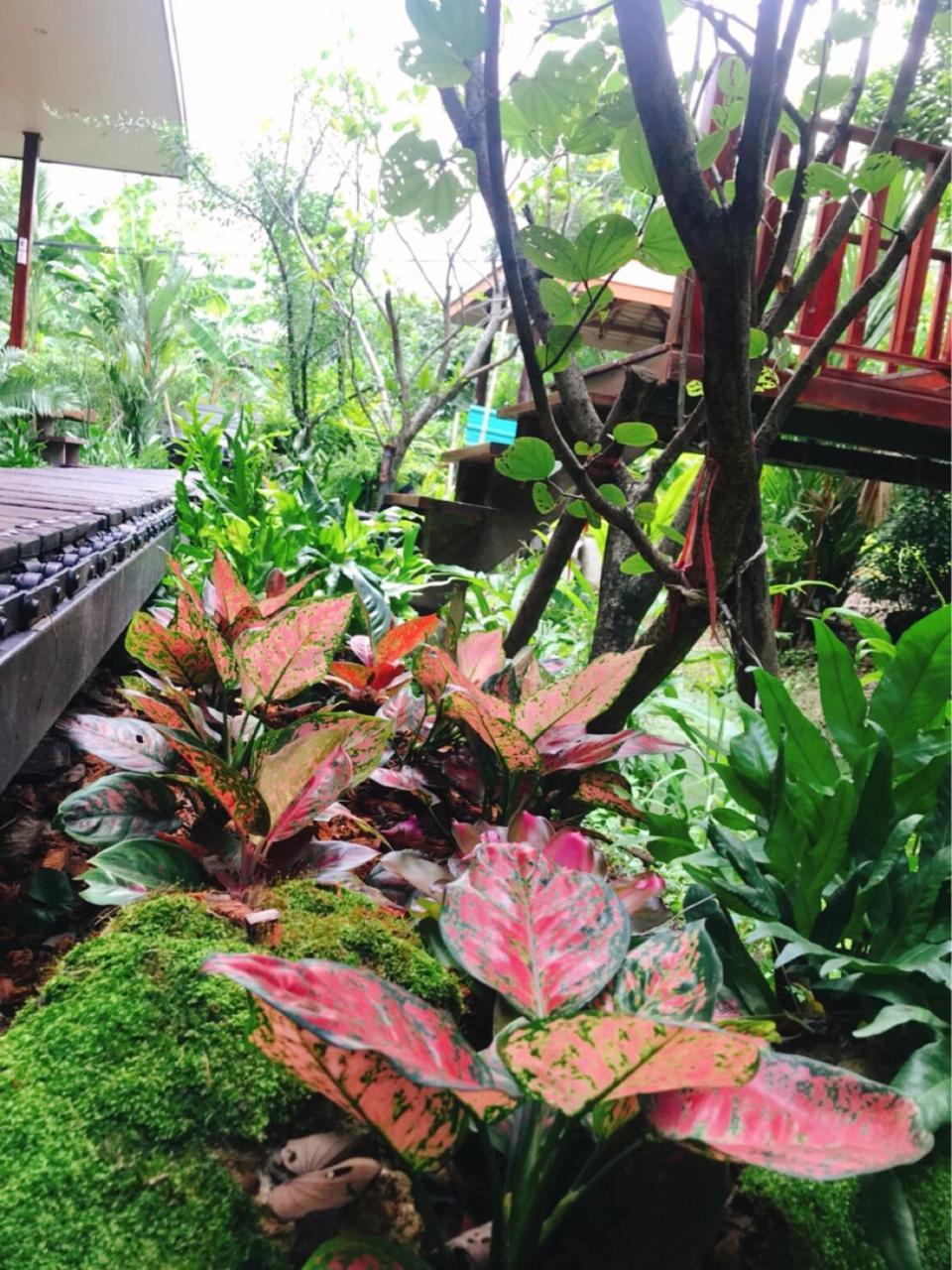 88 Homestay Bang Chak Luaran gambar