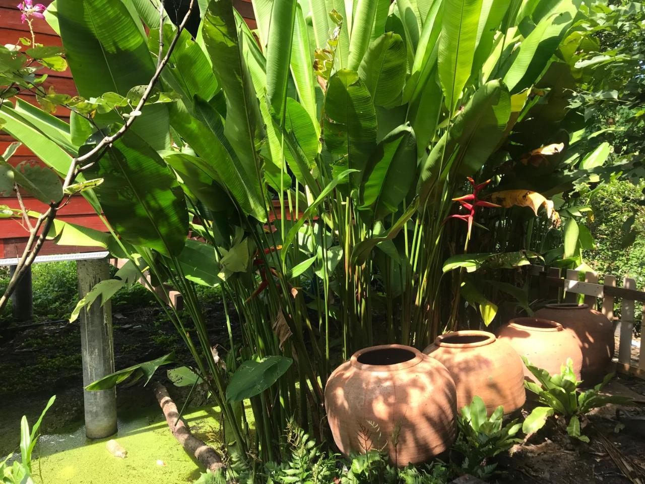 88 Homestay Bang Chak Luaran gambar